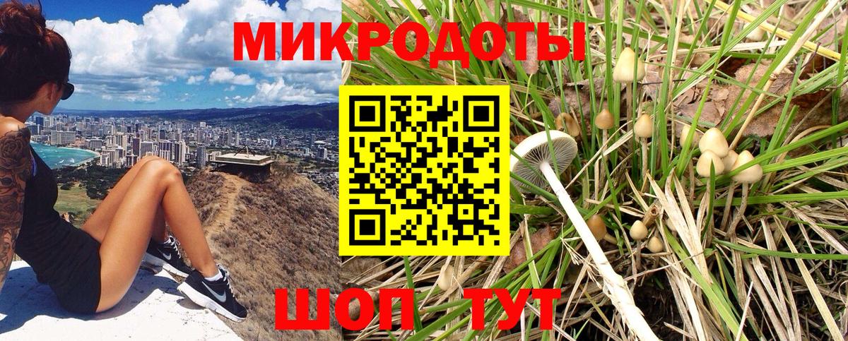 Псилоцибиновые грибы GOLDEN TEACHER Камышлов