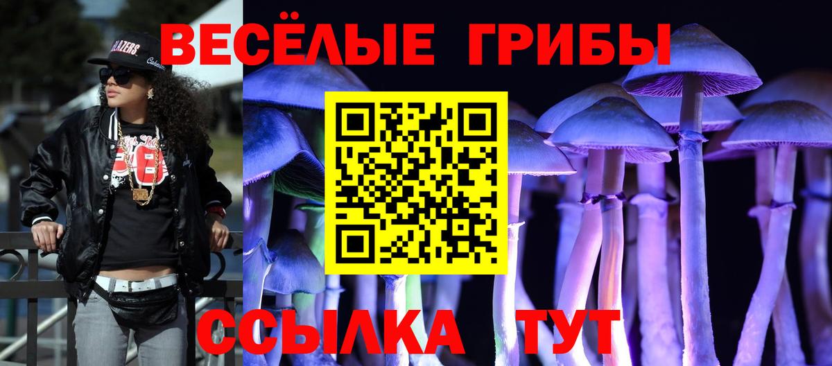 Псилоцибиновые грибы Cubensis  Псилоцибиновые грибы MAGIC MUSHROOMS  сколько стоит  Вход с VPN  Камышлов 